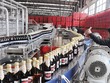 Sabeco và chiến lược "lột xác"